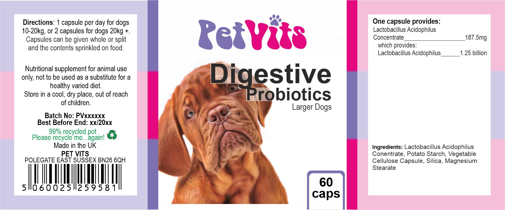 Lactobacillus acidophilus hot sale for dogs